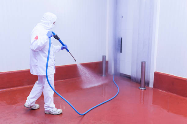 Reliable Paterson, NJ Pressure Washing Solutions
